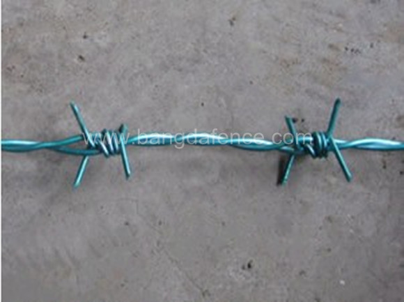 PVC刺绳 BD-03