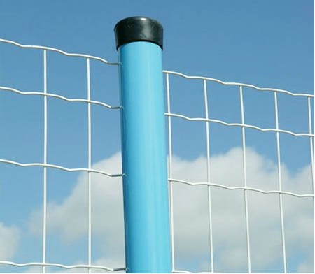 Holland Welded Wire Mesh Fence BD-06