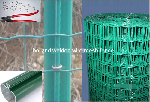 Holland Welded Wire Mesh Fence BD-03