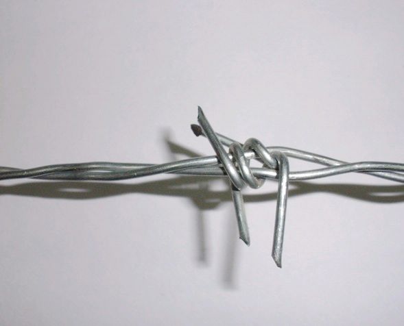 Barbed Iron Wire BD-01